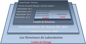 Organigramme de la fédération